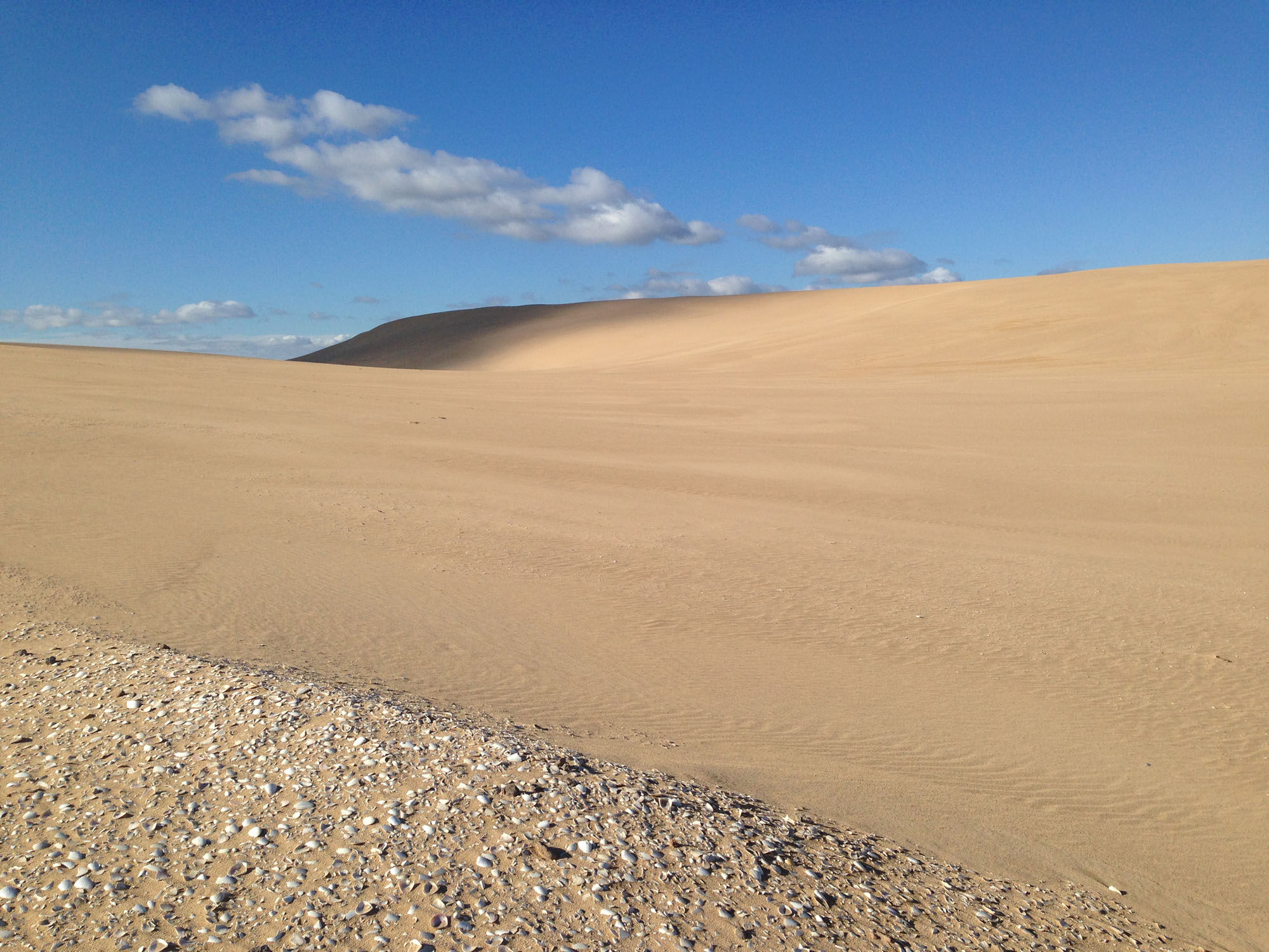 Coorong