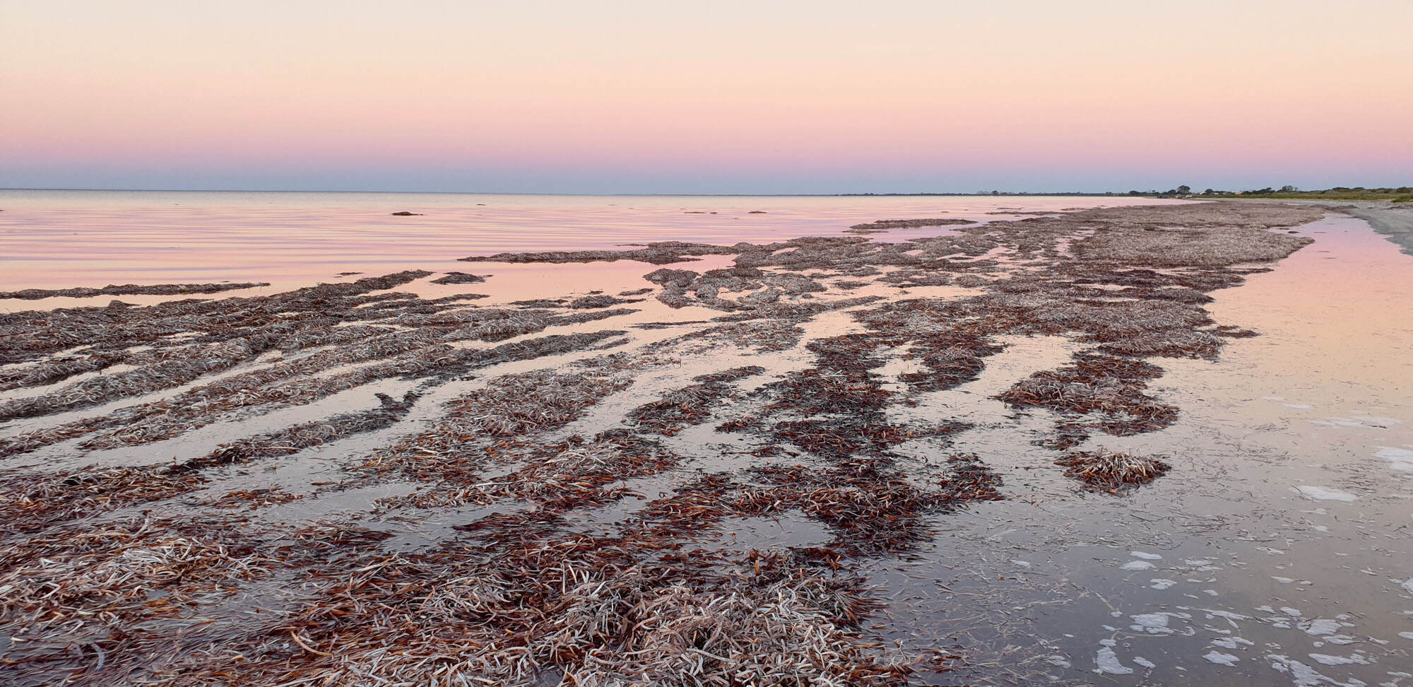 20210403_191527 copy